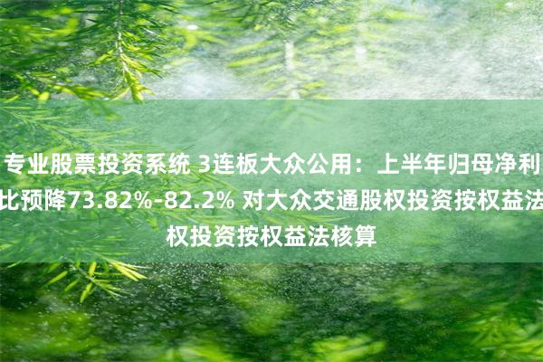 专业股票投资系统 3连板大众公用：上半年归母净利润同比预降73.82%-82.2% 对大众交通股权投资按权益法核算