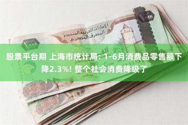 股票平台期 上海市统计局: 1-6月消费品零售额下降2.3%! 整个社会消费降级了