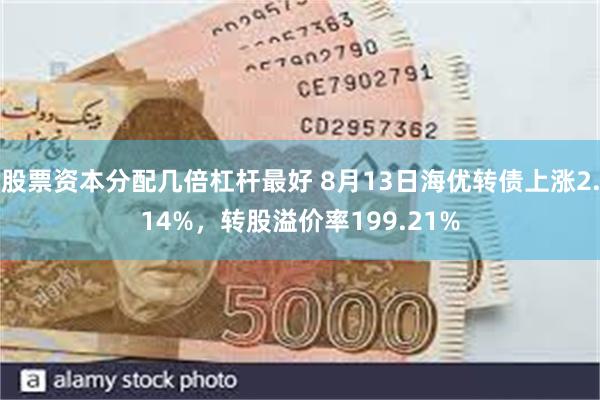 股票资本分配几倍杠杆最好 8月13日海优转债上涨2.14%，转股溢价率199.21%