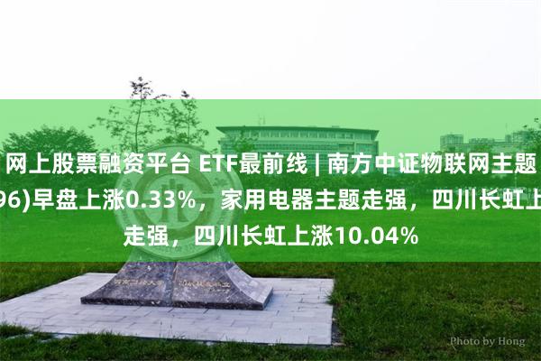 网上股票融资平台 ETF最前线 | 南方中证物联网主题ETF(159896)早盘上涨0.33%，家用电器主题走强，四川长虹上涨10.04%