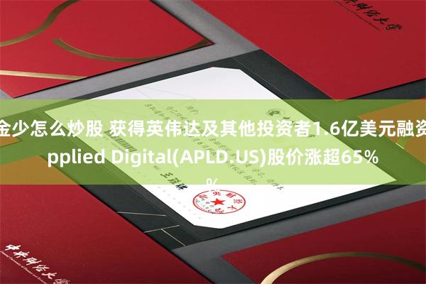 资金少怎么炒股 获得英伟达及其他投资者1.6亿美元融资 Applied Digital(APLD.US)股价涨超65%