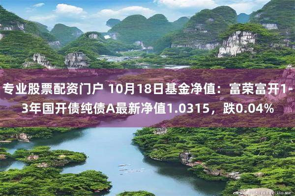 专业股票配资门户 10月18日基金净值：富荣富开1-3年国开债纯债A最新净值1.0315，跌0.04%