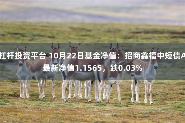 杠杆投资平台 10月22日基金净值：招商鑫福中短债A最新净值1.1565，跌0.03%