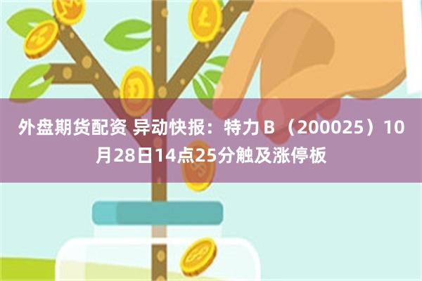 外盘期货配资 异动快报：特力Ｂ（200025）10月28日14点25分触及涨停板