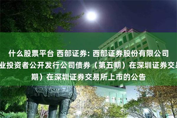 什么股票平台 西部证券: 西部证券股份有限公司2024年面向专业投资者公开发行公司债券（第五期）在深圳证券交易所上市的公告