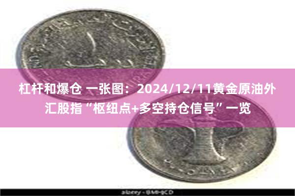 杠杆和爆仓 一张图：2024/12/11黄金原油外汇股指“枢纽点+多空持仓信号”一览