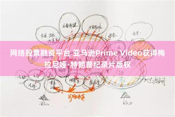 网络股票融资平台 亚马逊Prime Video获得梅拉尼娅-特朗普纪录片版权